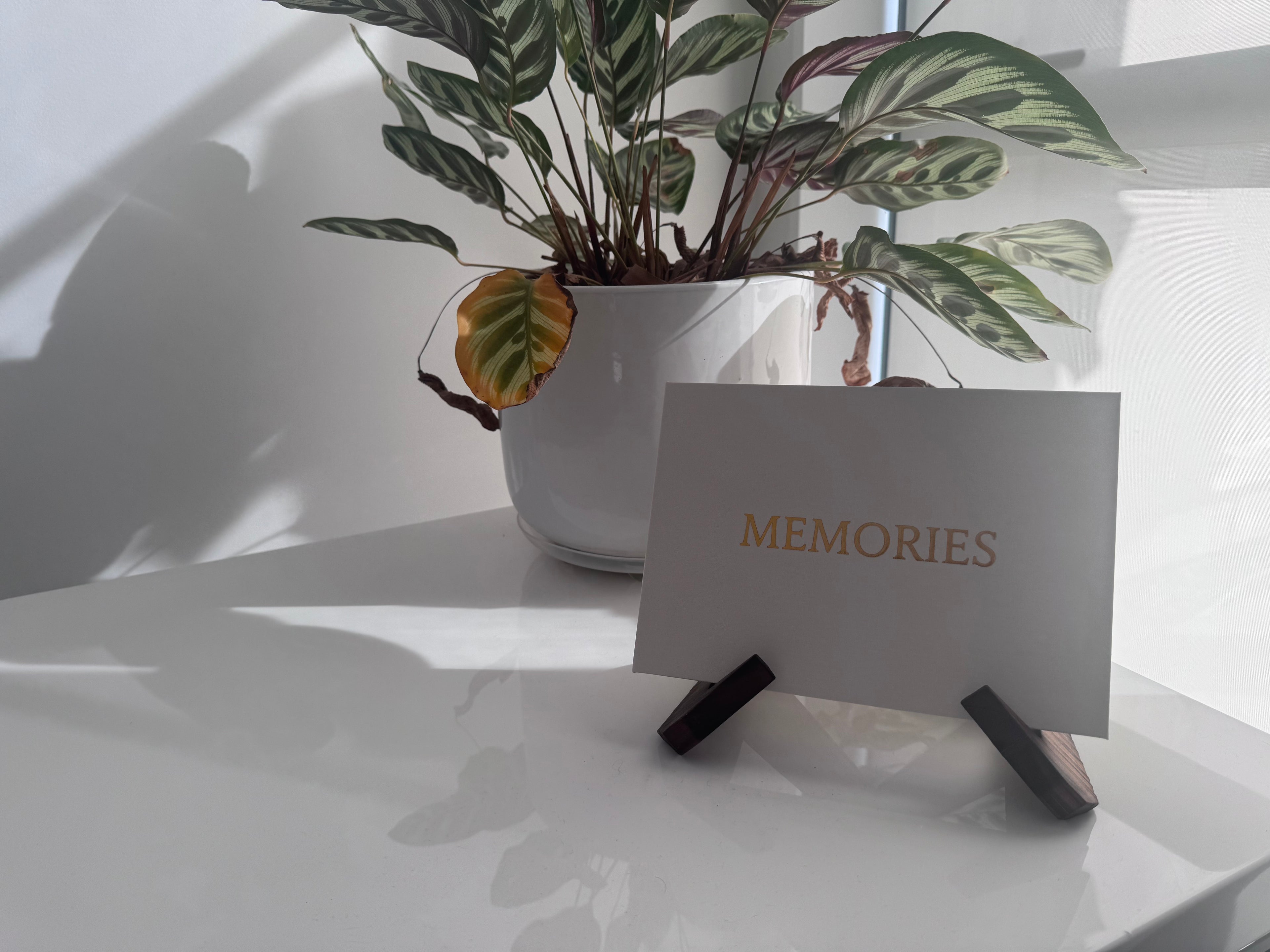 ForeverFlix Video Album